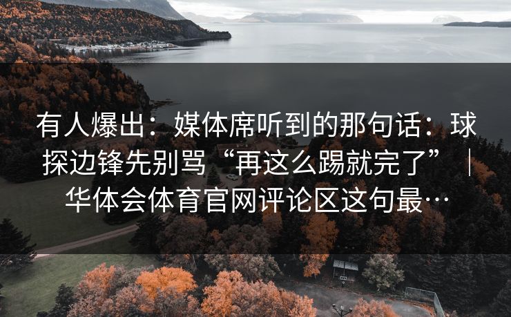 有人爆出：媒体席听到的那句话：球探边锋先别骂“再这么踢就完了”｜华体会体育官网评论区这句最…